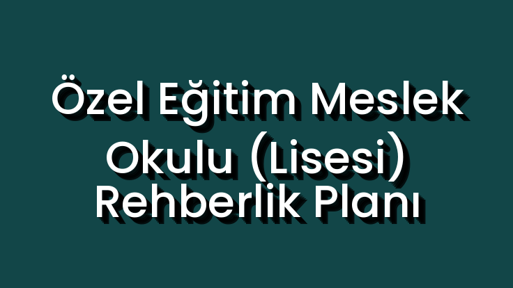 Özel Eğitim Meslek Okulu (Lisesi) Rehberlik Planı