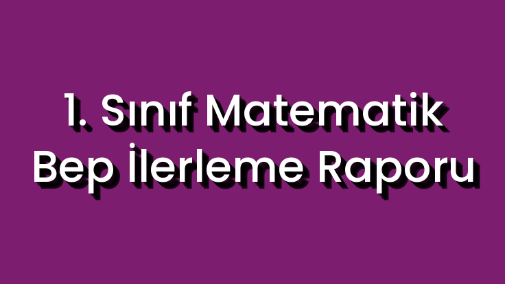 1. Sınıf Matematik Bep İlerleme Raporu