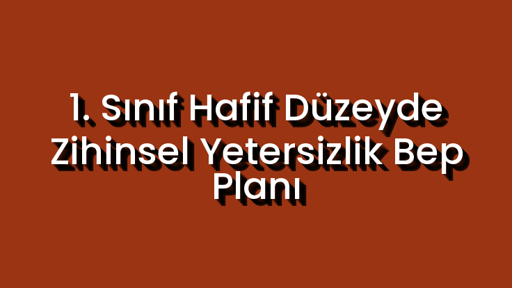 1. Sınıf Hafif Düzeyde Zihinsel Yetersizlik Bep Planı